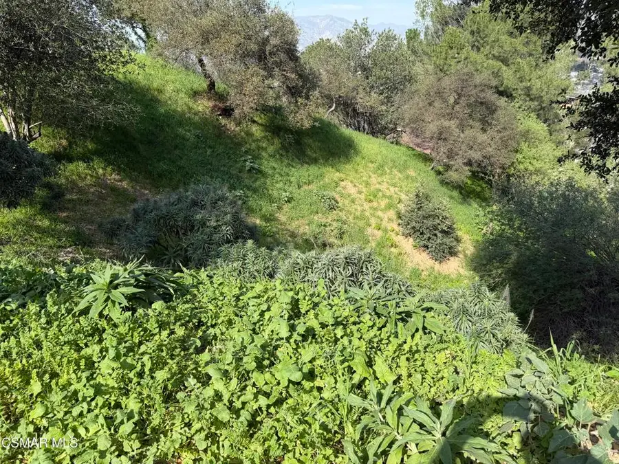 Flora Morgan Trail, Tujunga, CA 91042 - #2