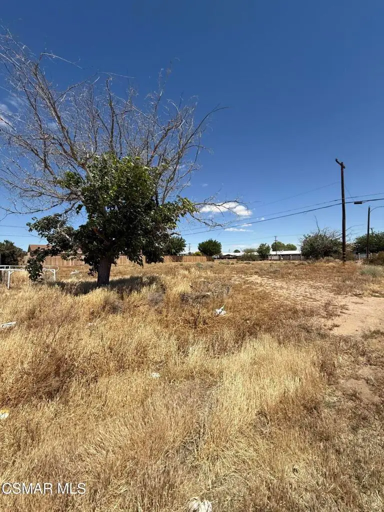 Fir Avenue Avenue, California City, CA 93505 - #2