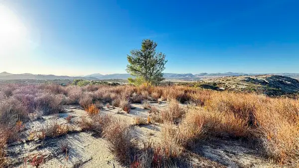 0 Forrest Gate Rd., Campo, CA 91906