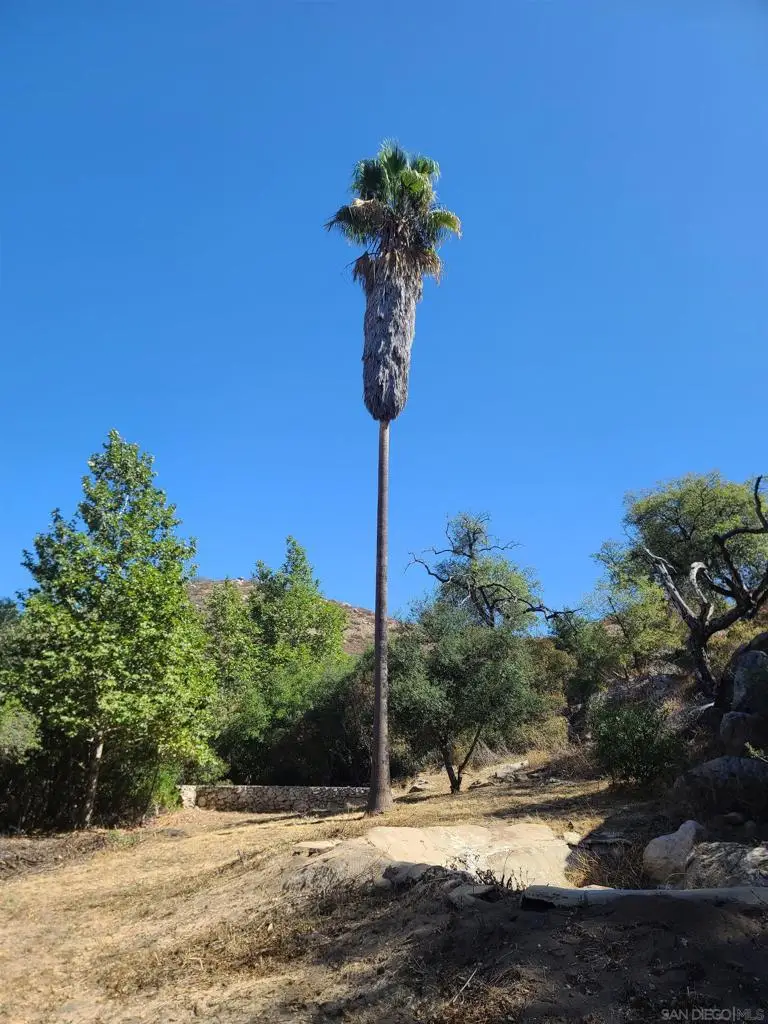 19360 Camino Vista Rd., Ramona, CA 92065 - Image #2