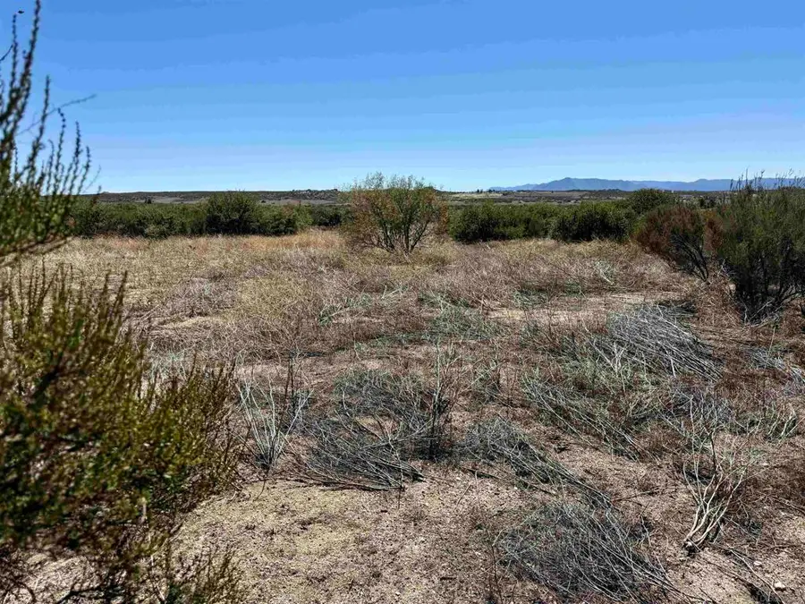 Mcconamara Drive, Ranchita, CA 92066 - Image #3