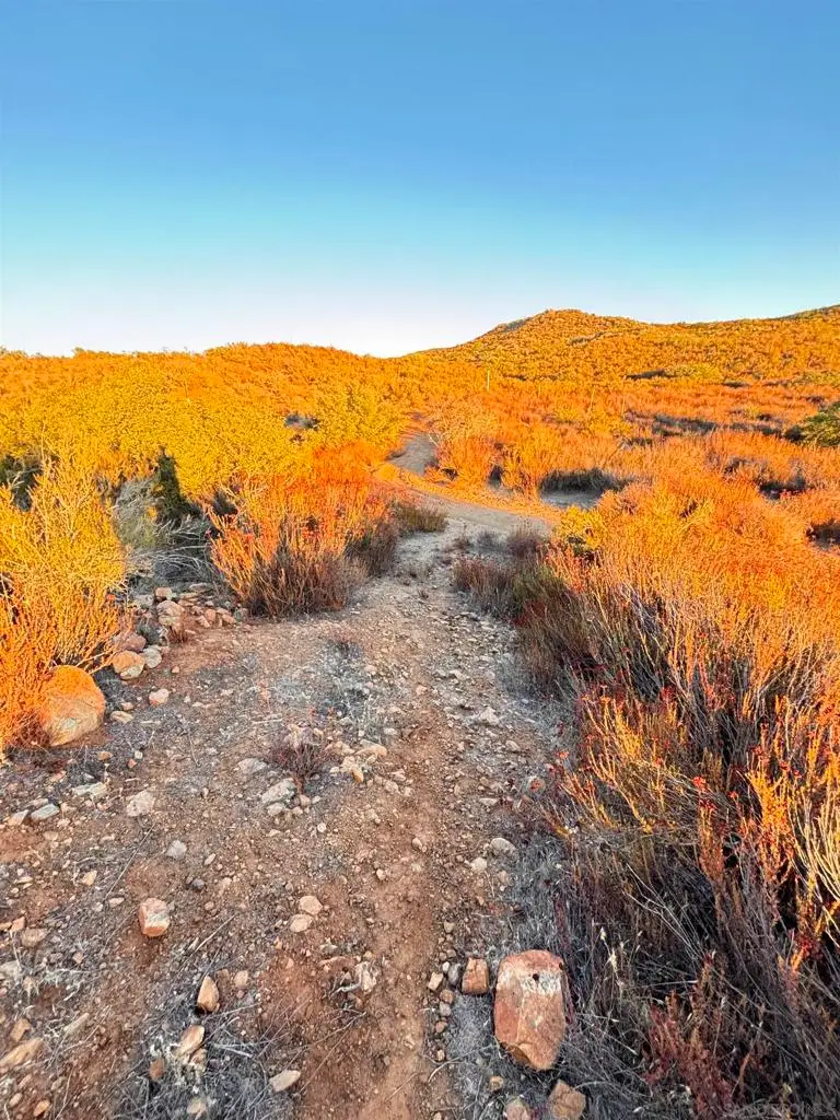 0 Potrero Park Dr., Potrero, CA 91963 - Image #2