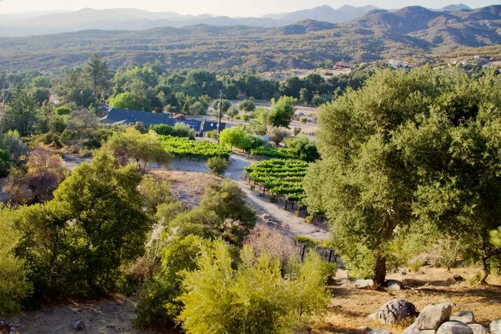 32800 Camino Ortega, Warner Springs, CA 92086 - #1