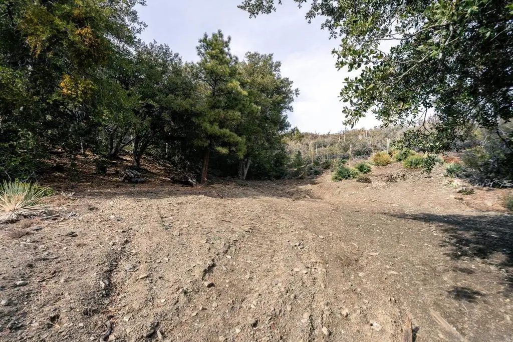0 Timberline Dr, Wrightwood, CA 92397 - #1