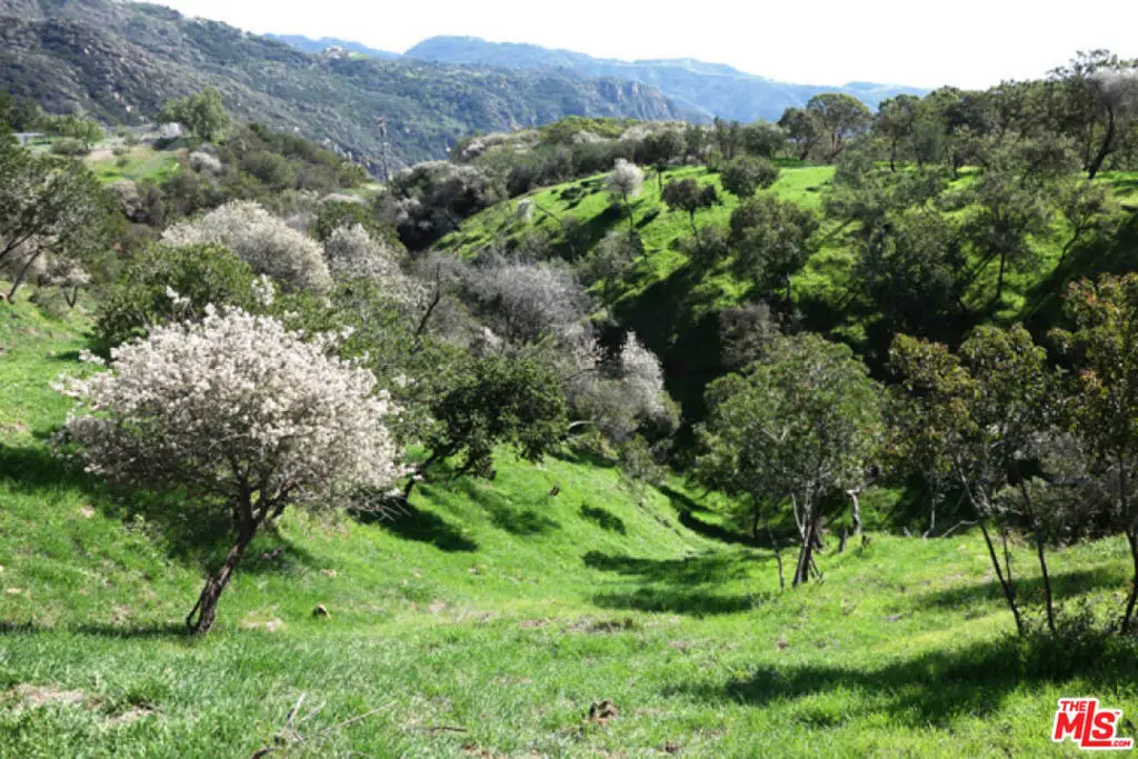 524 Moonrise, Malibu, CA 90265 - #1