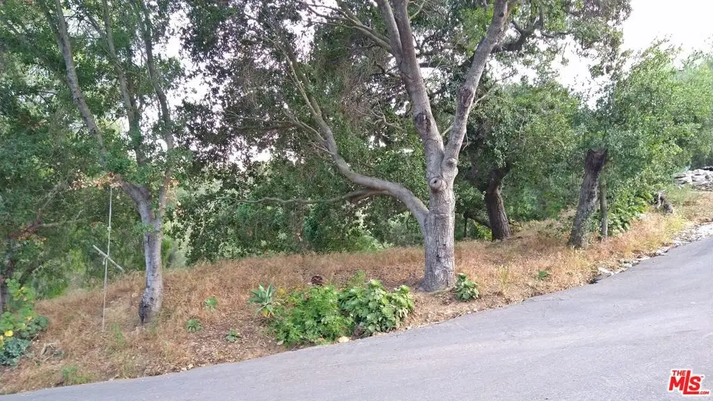 21190 Summit Road, Topanga, CA 90290 - #1