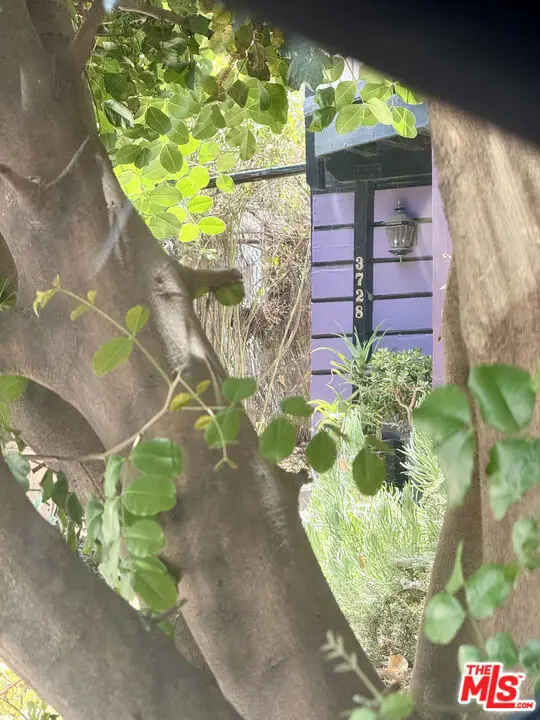 3728 York Boulevard, Los Angeles, CA 90065 - Image #1