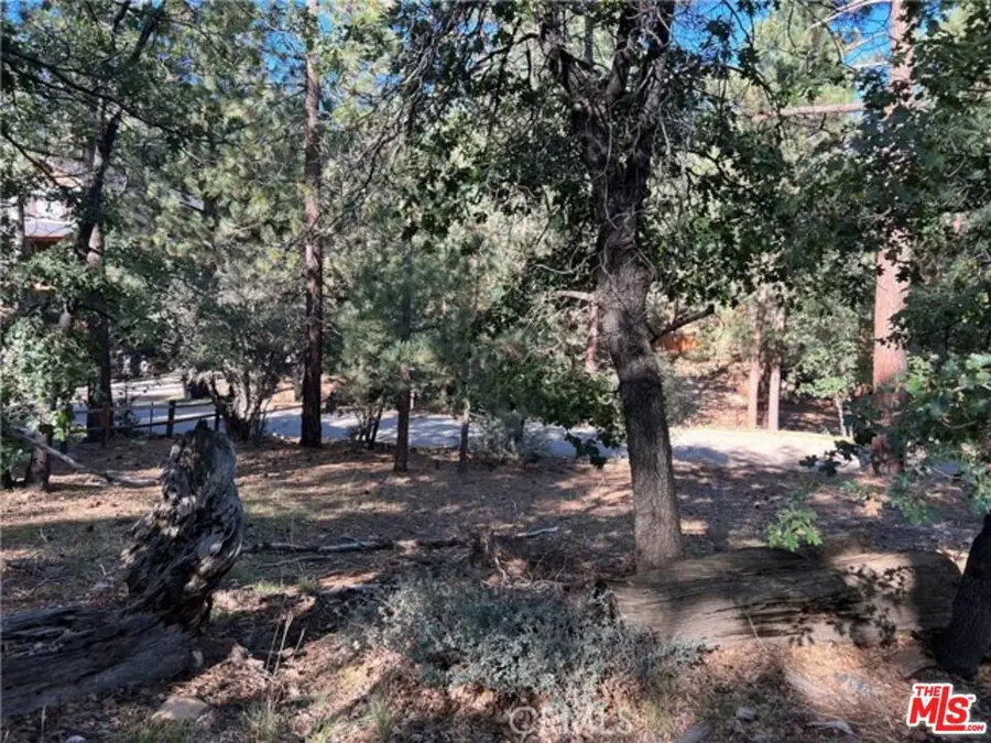 0 Kern Avenue, Sugarloaf, CA 92386 - #3