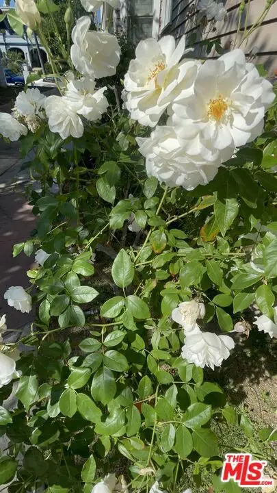 1220 3rd Avenue, Los Angeles, CA 90019 - Image #3