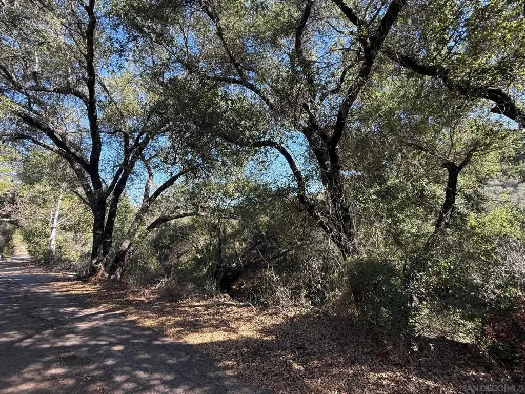 0 Wildcat Canyon Road, Lakeside, CA 92040 - #1