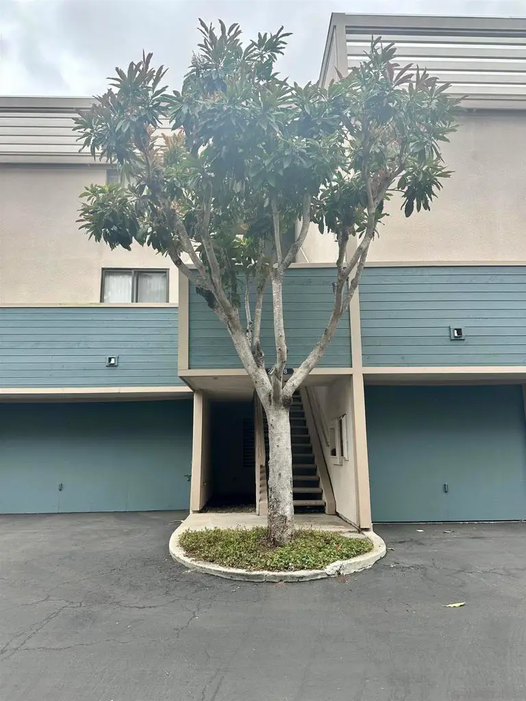 6196 Agee St #26, San Diego, CA 92122 - #3