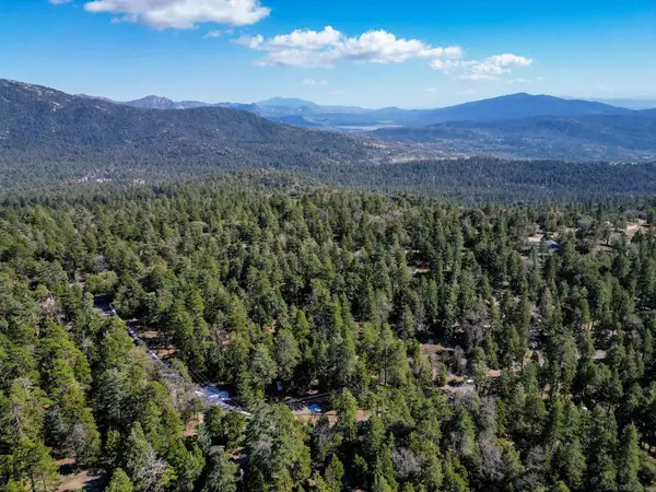 0 Laurel Trail, Idyllwild, CA 92549