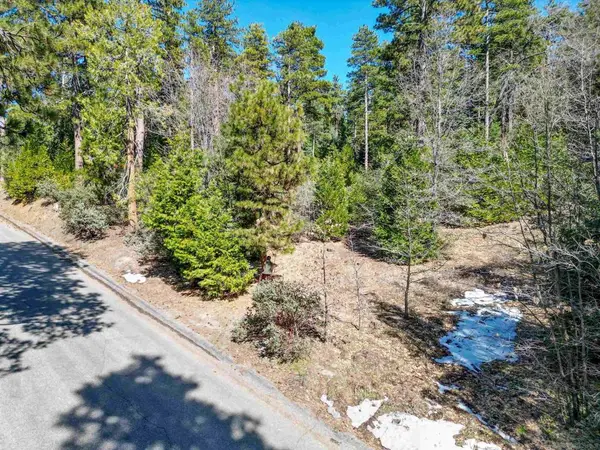 0 Laurel Trail Lot, Idyllwild, CA 92549