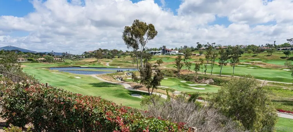 7756 St Andrews, Rancho Santa Fe, CA 92067 - #1