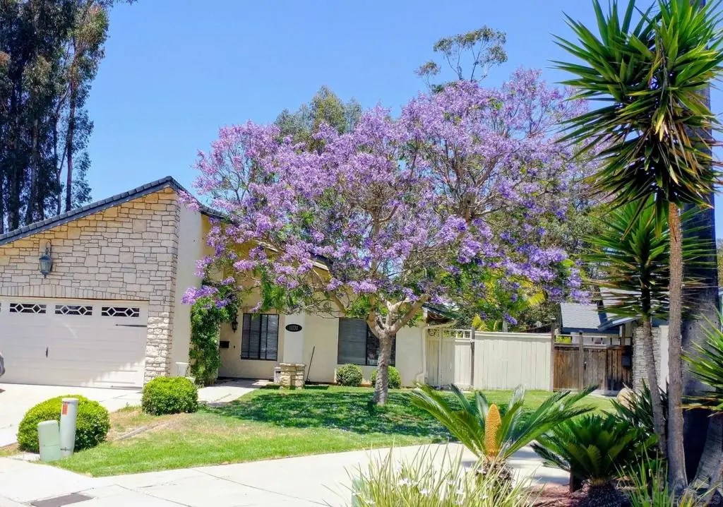 11330 Vista La Cuesta Drive, San Diego, CA 92131 - #1