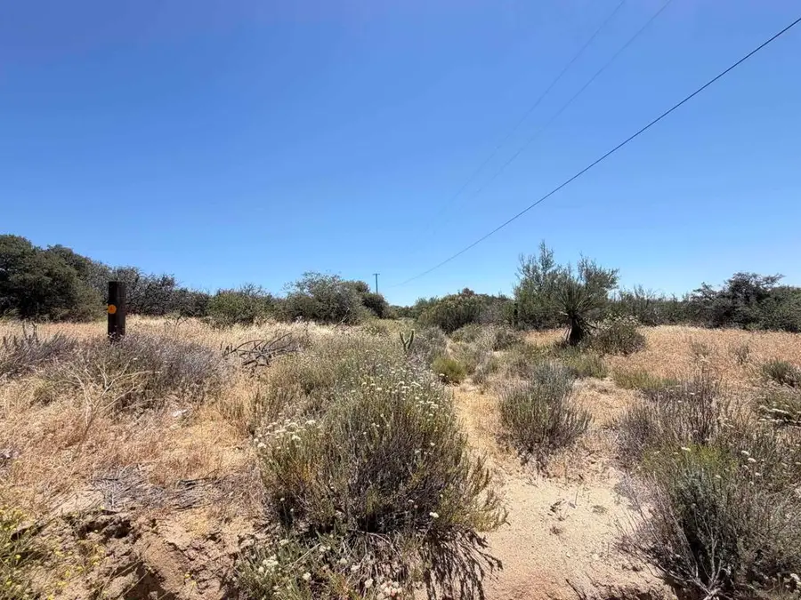 0 Lease Rd, Ranchita, CA 92066 - #2
