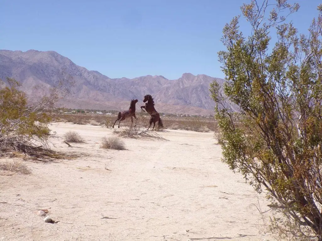 0 Borrego Valley Road, Borrego Springs, CA 92004 - #1
