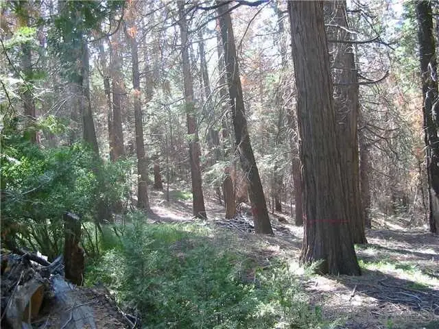 0 Crestline Road, Palomar Mountain, CA 92060 - #1