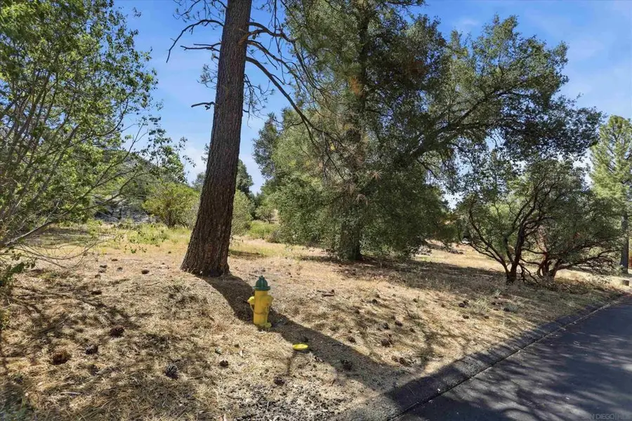 8515 Foothill Blvd, Pine Valley, CA 91962 - #3