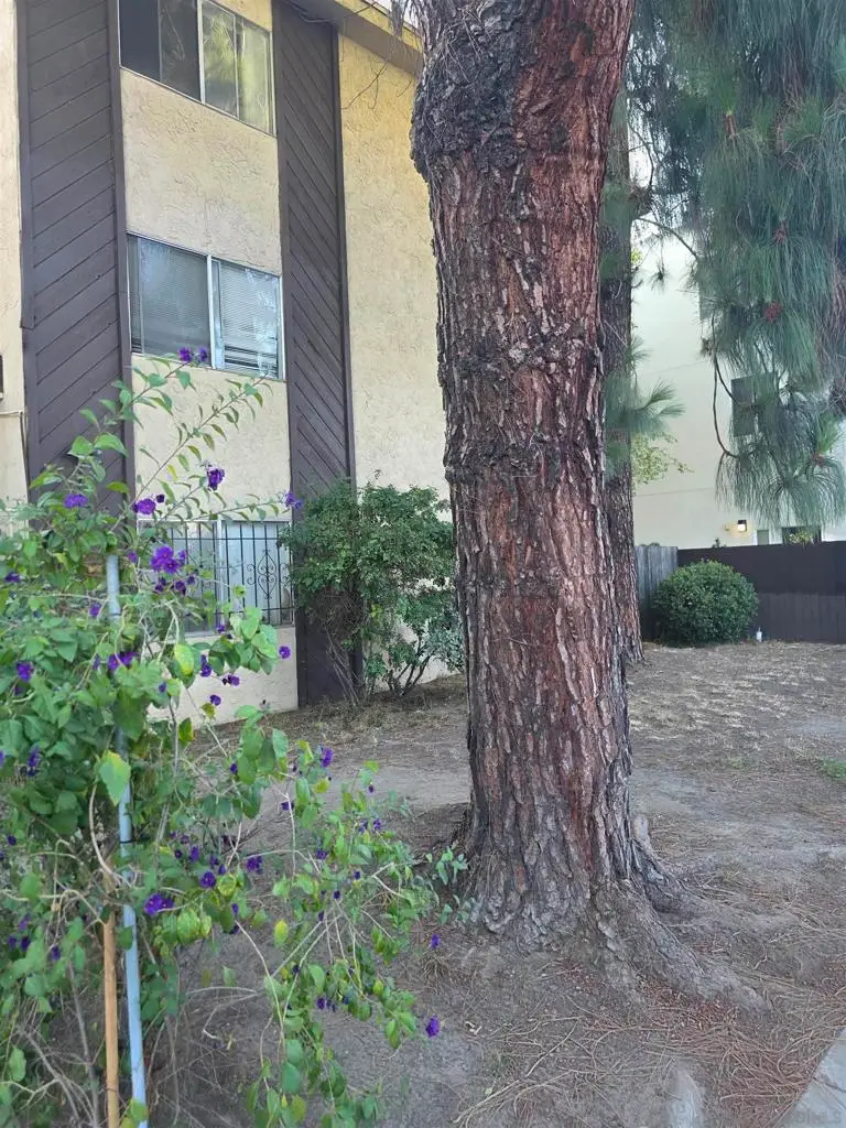 4260 44th St #326, San Diego, CA 92115 - #3