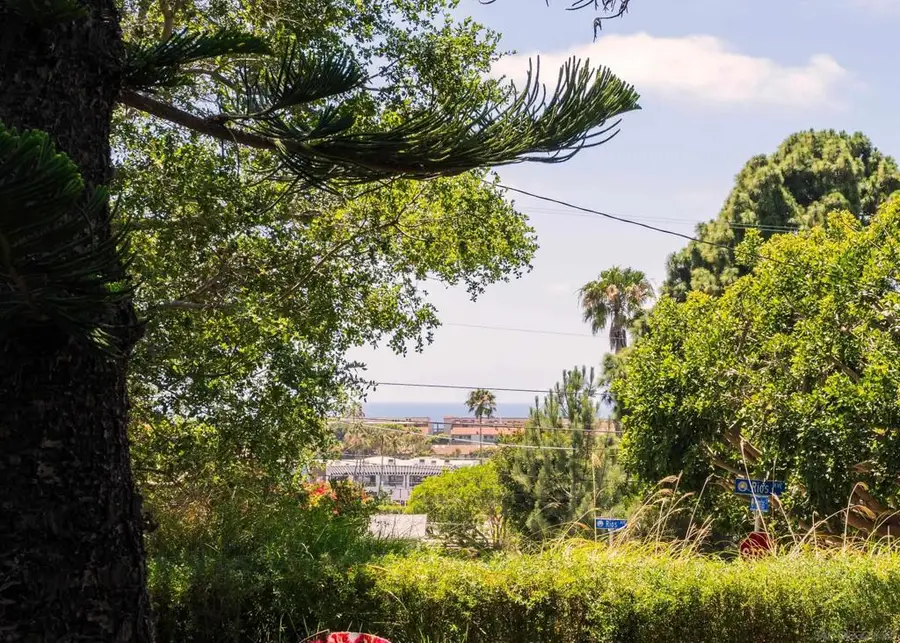 460 Palmitas St, Solana Beach, CA 92075 - #3