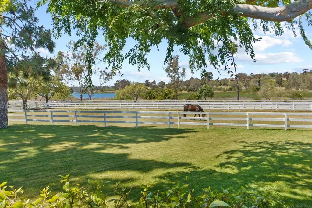 6685 & 6701 Lago Lindo, Rancho Santa Fe, CA 92067 - #1
