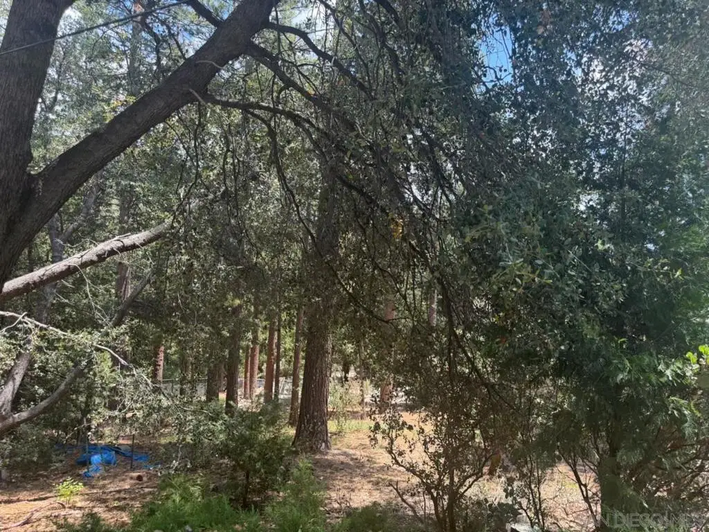 0 Big Pine, Idyllwild, CA 92549 - #1