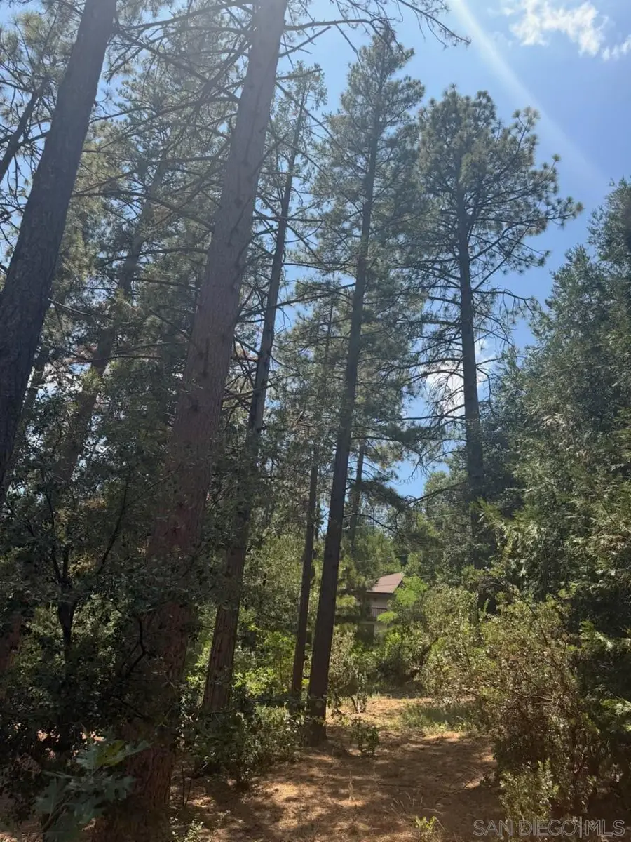 0 Big Pine, Idyllwild, CA 92549 - #2