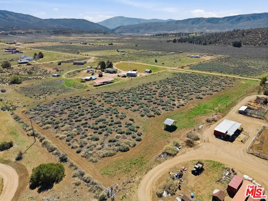 0 Mt. Lilac Trail, Frazier Park, CA 93225 - #3