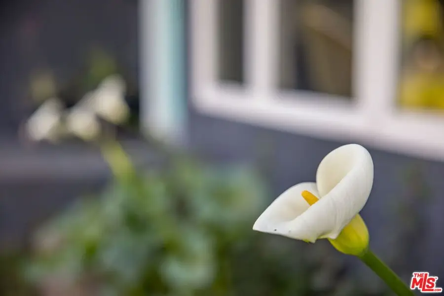 970 Lehigh Street, Altadena, CA 91001 - #3