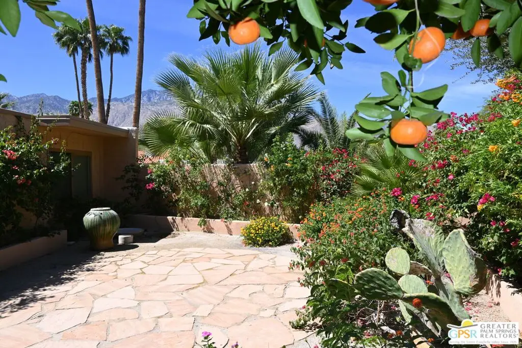 552 N Orchid Tree Lane, Palm Springs, CA 92262 - #1