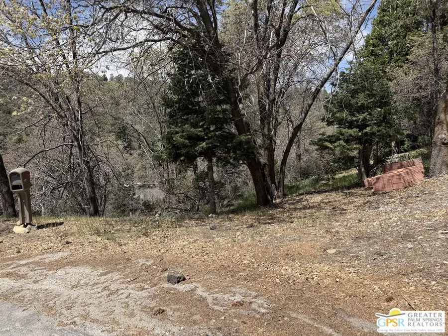 6032 Tripp Lane, Angelus Oaks, CA 92305 - #2