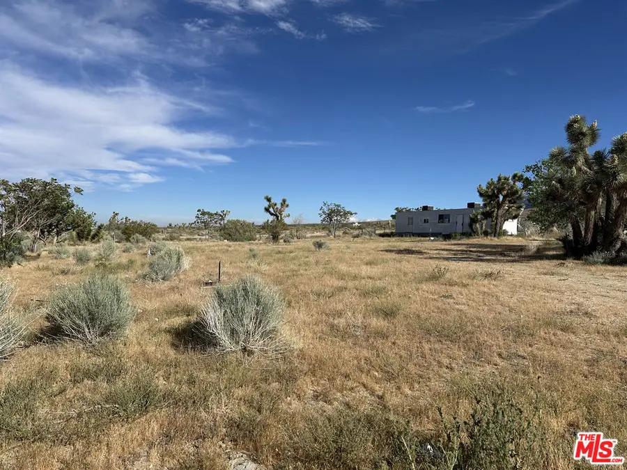 32049 213th Street, Llano, CA 93544 - #2