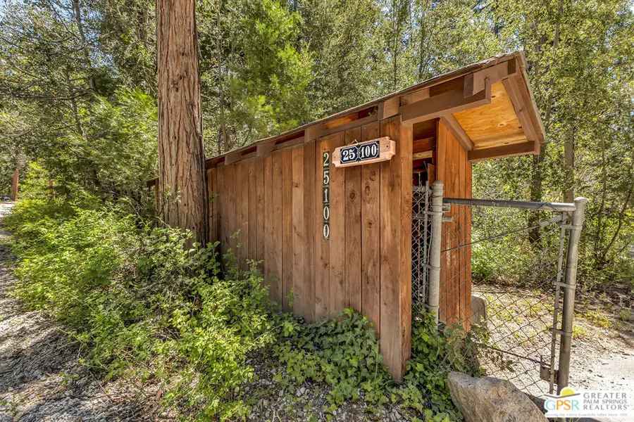 25100 Indian Rock Road, Idyllwild, CA 92549 - #3