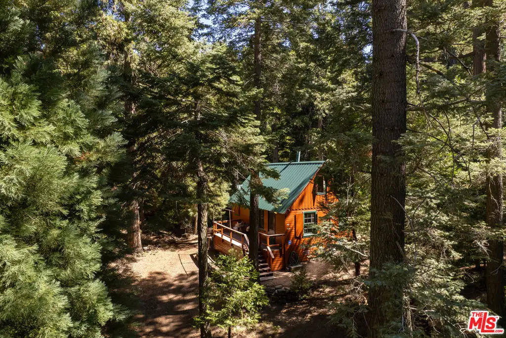 629 Lodge Lane, Twin Peaks, CA 92391 - #1
