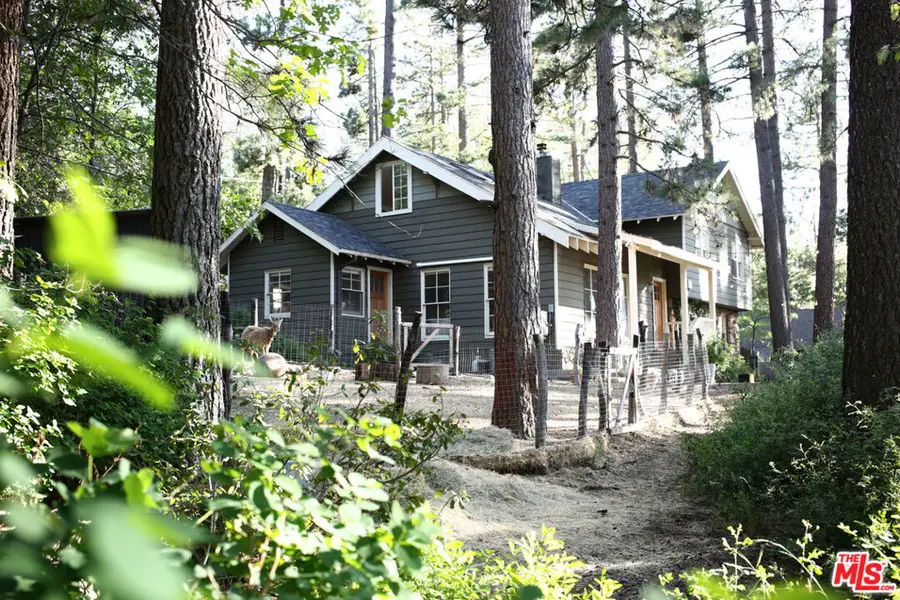 53505 Tollgate Road, Idyllwild, CA 92549 - #2