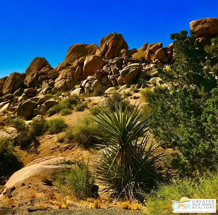 6220 Mirlo Court, Yucca Valley, CA 92284 - #1