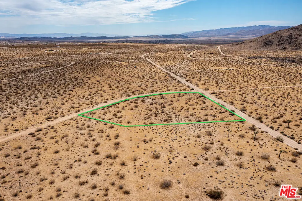 60676 Campanula Street, Joshua Tree, CA 92252 - #1