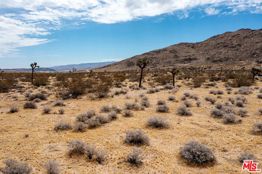 60676 Campanula Street, Joshua Tree, CA 92252 - #3