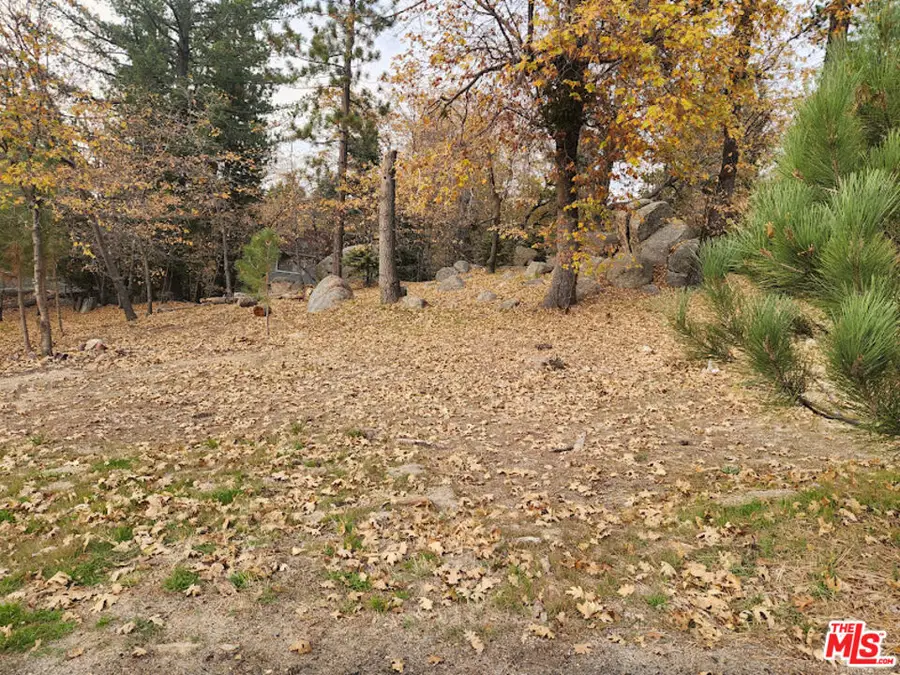 32240 Whisper Drive, Running Springs, CA 92382 - #3