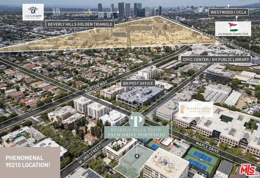 335 N Palm Drive, Beverly Hills, CA 90210 - #2