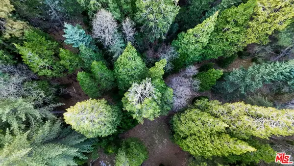 246 Cedar Ridge Drive, Lake Arrowhead, CA 92352