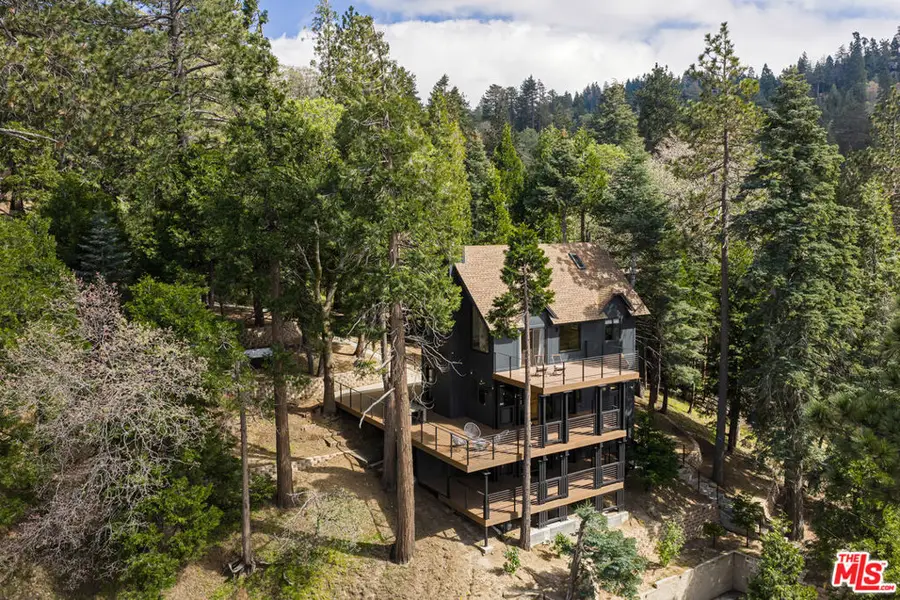 413 Cimarron Lane, Lake Arrowhead, CA 92352 - #3