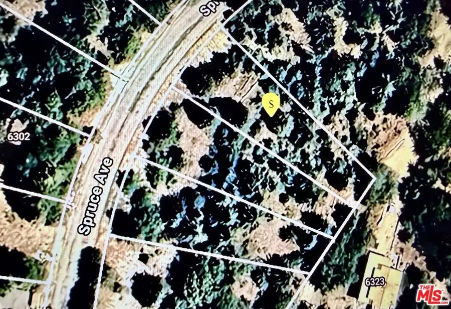 6287 Spruce Avenue, Angelus Oaks, CA 92305 - #2