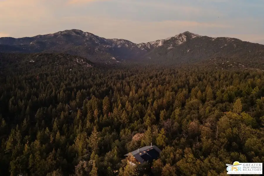 52915 Middle Ridge Drive, Idyllwild, CA 92549 - #3