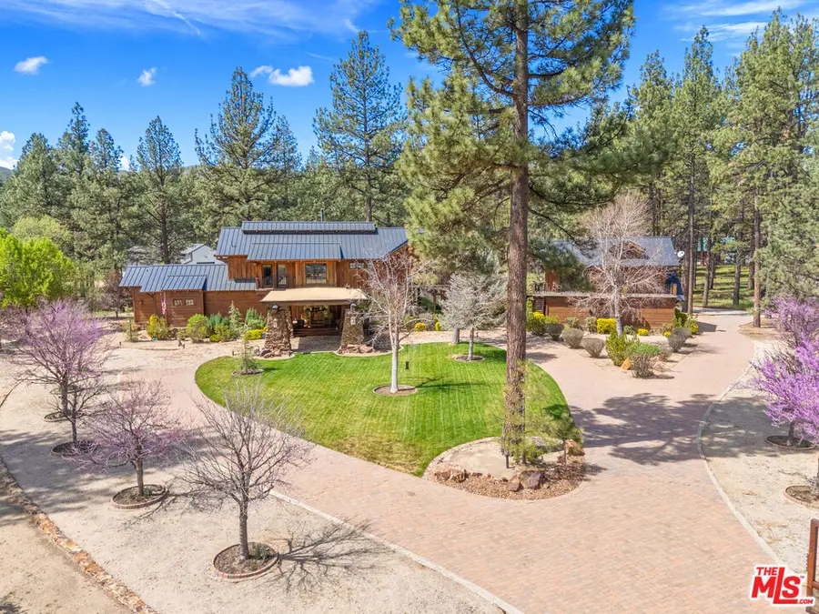 35849 Butterfly Peak Road, Mountain Center, CA 92561 - #2