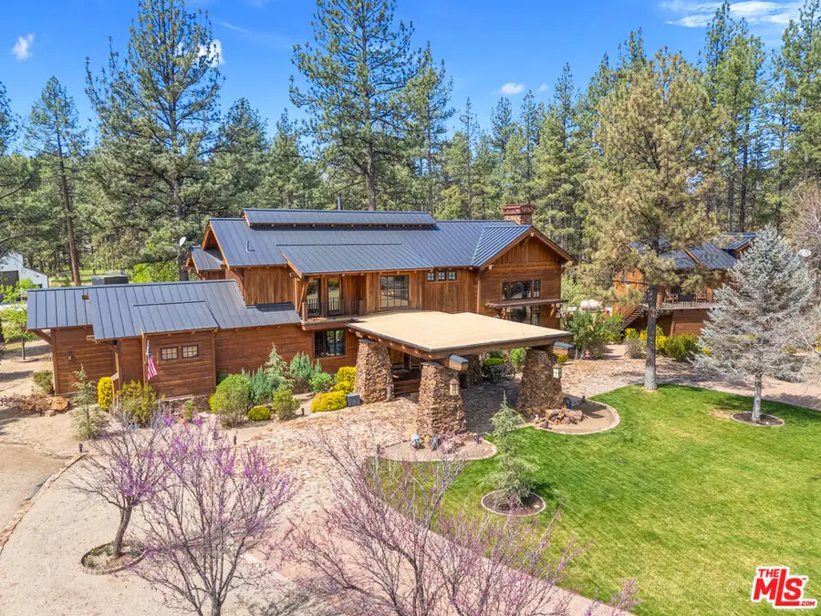 35849 Butterfly Peak Road, Mountain Center, CA 92561 - #3