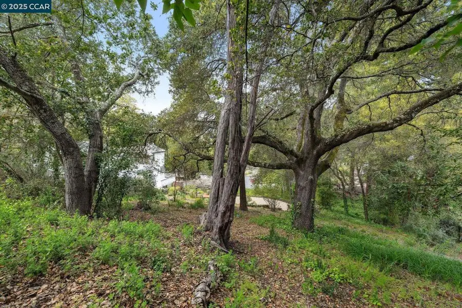 4 El Sereno, Orinda, CA 94563 - #3
