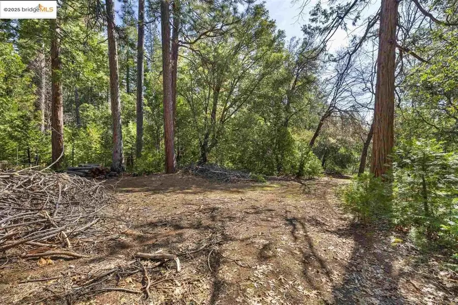 23282 Comstock Ranch, Sonora, CA 95370 - #3
