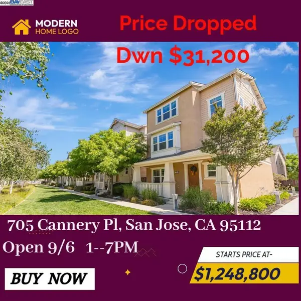 705 Cannery Pl, San Jose, CA 95112